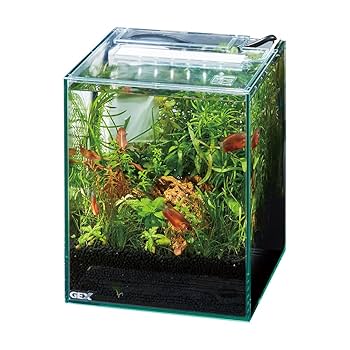 Amazon | GEX AQUARIUM グラステリアFL200 サイレントフロー